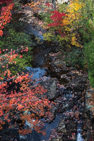Autumn Palette - NHP315 Autumn Palette - NHP315